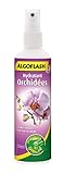 photo: acheter ALGOFLASH Hydratant Orchidées, Vaporisation 1 xfois par jour, 250 ml, AORCHYDRA250N en ligne, meilleur prix 7,10 € (28,40 € / l) nouveau 2024-2023 best-seller, examen