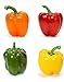 foto 100 Piezas Rojo Verde Amarillo Naranja Mixto Semillas De Pimiento Morrón Para Plantar Al Aire Libre Cree Un Espléndido Jardín De Verduras Brillantes Amado Por Todos 2024-2023