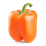 photo: You can buy Orange Sun Sweet Bell Pepper Seeds, 100 Heirloom Seeds Per Packet, Non GMO Seeds, Botanical Name: Capsicum annuum, Isla's Garden Seeds online, best price $6.25 ($0.06 / Count) new 2024-2023 bestseller, review