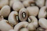 photo: You can buy Pea Blackeye Great Heirloom Vegetable by Seed Kingdom Bulk 1 Lb Seeds online, best price $16.95 ($1.06 / Ounce) new 2024-2023 bestseller, review