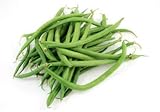 photo: You can buy Tendergreen Green Bean Seeds, 50 Heirloom Seeds Per Packet, Non GMO Seeds online, best price $5.79 ($0.12 / Count) new 2024-2023 bestseller, review