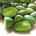 foto zumari 100 Semillas de Fruta de Melón Cucamelon Verde. 2024-2023