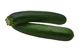 photo: You can buy Black Beauty Zucchini Seeds - Non-GMO - 7 Grams, Approximately 60 Seeds online, best price $3.99 new 2024-2023 bestseller, review