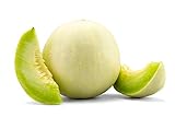 photo: You can buy Honeydew Melon Green Flesh, 30 Heirloom Seeds Per Packet, Non GMO Seeds, Botanical Name: Cucumis melo L., Isla's Garden Seeds online, best price $5.89 ($0.20 / Count) new 2024-2023 bestseller, review