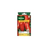 photo: acheter Vilmorin - Sachet graines Tomate Cornabel HF1 en ligne, meilleur prix 7,75 € (0,39 € / Count) nouveau 2024-2023 best-seller, examen
