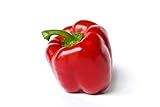 photo: You can buy Yolo Wonder L Red Sweet Bell Pepper Seeds, 100 Heirloom Seeds Per Packet, Non GMO Seeds, Botanical Name: Capsicum annuum, Isla's Garden Seeds online, best price $5.99 ($0.06 / Count) new 2024-2023 bestseller, review