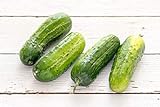 photo: You can buy Boston Pickling Cucumber Seeds, 100 Heirloom Seeds Per Packet, Non GMO Seeds, Isla's Garden Seeds online, best price $6.29 ($0.06 / Count) new 2024-2023 bestseller, review
