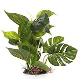 photo: You can buy CNZ Aquarium Fish Tank Green Lifelike Underwater Plastic Plant Aquatic Water Grass Decor (Large, 13-inch) online, best price $8.99 new 2024-2023 bestseller, review