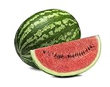 photo: You can buy Crimson Sweet Watermelon Seeds - Non-GMO - 3 Grams online, best price $3.99 new 2024-2023 bestseller, review