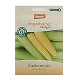 foto: jetzt Bingenheimer Saatgut - Zuckermais Golden Bantam - Gemüse Saatgut / Samen Online, bester Preis 5,00 € (250,00 € / kg) neu 2024-2023 Bestseller, Rezension