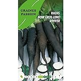 photo: acheter Graines Passion sachet de graines Radis noir gros long d'hiver en ligne, meilleur prix 5,50 € nouveau 2024-2023 best-seller, examen