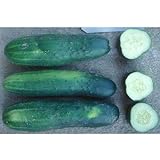 photo: You can buy County Fair F1 Hybrid Cucumber Seeds (40 Seed Pack) online, best price $5.19 new 2024-2023 bestseller, review
