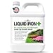 photo Chelated Liquid Iron +Plus Concentrate Blend, Liquid Iron for Lawns, Plants, Shrubs, and Trees Stunted or Growth and Discoloration Issues – Solve Iron Deficiency and Root Problems – (32 oz.) USA Made 2024-2023