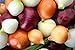 photo Multicolor Onion Seed Mx for Planting About 200 Seeds 2022-2021