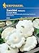foto Kiepenkerl 2859 Zucchini Custard White, entwickelt weiße tellerförmige Früchte mit zartem Fleisch, essbar oder als Deko 2024-2023