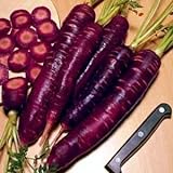 photo: You can buy Purple Dragon Carrot 350 Seeds - Absolutely unique! online, best price $1.95 ($0.01 / Count) new 2024-2023 bestseller, review