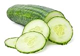photo: You can buy Cucumber Seeds for Planting Outdoors, 210 Straight Eight Cucumber Seeds, Thicker Cucumbers Than with Persian Cucumber Seeds, 6.3 Grams online, best price $6.97 new 2024-2023 bestseller, review