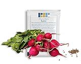 photo: You can buy 500 Cherry Belle Radish Seeds, USA Grown - Easy to Grow Heirloom Radish Seeds - Spring Vegetable Garden Seeds, First Harvest in 25 Days - Non GMO Radish Seeds - Premium Red Radish Seeds by RDR Seeds online, best price $5.99 ($0.01 / Count) new 2024-2023 bestseller, review