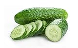 photo: You can buy Bush Cucumber Seeds for Planting Outdoors Home Garden - Heirloom Vegetable Seeds - Bush Spacemaster Cucumber online, best price $5.98 new 2024-2023 bestseller, review