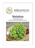foto: jetzt Kohlsamen Natalino Romanesco Portion Online, bester Preis 1,95 € neu 2024-2023 Bestseller, Rezension