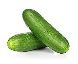 photo: You can buy Spacemaster Cucumber Seeds, 100+ Heirloom Seeds Per Packet, (Isla's Garden Seeds), Non GMO Seeds, Botanical Name: Cucumis sativus, 85% Germination Rates online, best price $5.99 ($0.06 / Count) new 2024-2023 bestseller, review