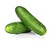 photo Spacemaster Cucumber Seeds, 100+ Heirloom Seeds Per Packet, (Isla's Garden Seeds), Non GMO Seeds, Botanical Name: Cucumis sativus, 85% Germination Rates 2022-2021