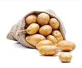 foto: jetzt Kartoffel Belana festkochend 10kg deutsche Speisekartoffel Online, bester Preis 9,90 € (0,99 € / kg) neu 2024-2023 Bestseller, Rezension