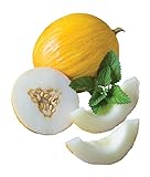photo: You can buy Burpee Twice As Nice Hybrid (Fonzy) Melon Seeds 15 seeds online, best price $7.28 new 2024-2023 bestseller, review