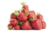 photo: You can buy Strawberry Seeds-2000 Strawberry Seeds for Planting Indoors/Outdoors-Strawberry Seeds Heirloom Non GMO Organic-Alpine Strawberry Seeds for Planting Home Garden-Climbing Strawberry Tree Seeds online, best price $12.99 ($0.01 / Count) new 2024-2023 bestseller, review