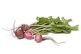 photo: You can buy Chioggia Beet Seeds, 100+ Heirloom Seeds Per Packet, (Isla's Garden Seeds), Non GMO Seeds, Botanical Name: Beta vulgaris online, best price $5.79 ($0.06 / Count) new 2024-2023 bestseller, review