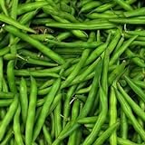 photo: You can buy Blue Lake Pole Bean Seeds, 50 Heirloom Seeds Per Packet, Non GMO Seeds, Botanical Name: Phaseolus vulgaris, Isla's Garden Seeds online, best price $5.99 ($0.12 / Count) new 2024-2023 bestseller, review