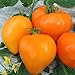 foto Tomate Altai Honig - Sehr Leckere Tomatensorte - ertragreich - 10 Samen 2024-2023