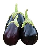 photo: You can buy Burpee Early Midnight Eggplant Seeds 35 seeds online, best price $8.58 ($0.25 / Count) new 2024-2023 bestseller, review