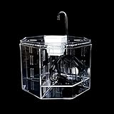 foto: jetzt JJWC Desktop-Aquarium-Acryl-Isolationsbox-Fischbehälter-Zieraquarium-Zuchtkasten Büro-Dekoration Online, bester Preis 112,15 € neu 2024-2023 Bestseller, Rezension