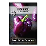 photo: You can buy Sow Right Seeds - Purple Beauty Pepper Seed for Planting - Non-GMO Heirloom Packet with Instructions to Plant and Grow an Outdoor Home Vegetable Garden - Productive Sweet Bell Peppers - Great Gift online, best price $5.49 new 2024-2023 bestseller, review