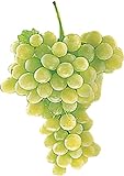 photo: acheter 5 graines de raisin blanc Raisins de table frais en ligne, meilleur prix 13,97 € nouveau 2024-2023 best-seller, examen