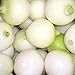 photo 500 CRYSTAL WHITE WAX PEARL ONION Allium Cepa Vegetable Seeds 2024-2023