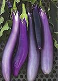 photo: You can buy David's Garden Seeds Eggplant Ping Tung Long 7333 (Purple) 50 Non-GMO, Heirloom Seeds online, best price $3.95 new 2024-2023 bestseller, review
