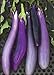 photo David's Garden Seeds Eggplant Ping Tung Long 7333 (Purple) 50 Non-GMO, Heirloom Seeds 2024-2023