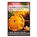 photo Sow Right Seeds - Yellow Scallop Summer Squash Seed for Planting  - Non-GMO Heirloom Packet with Instructions to Plant a Home Vegetable Garden 2024-2023