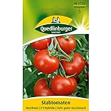 foto: jetzt Tomate, Harzfeuer F1 Online, bester Preis 2,77 € (0,14 € / stück) neu 2024-2023 Bestseller, Rezension