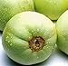 photo Sweet Melon Seeds (CHK) (Japanese New Mini Honeydew, 30 Seeds) 2024-2023
