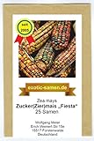 foto: jetzt Mais - Zuckermais - Ziermais - Indianermais - Fiesta - 25 Samen Online, bester Preis 2,39 € (0,10 € / stück) neu 2024-2023 Bestseller, Rezension