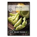 photo: You can buy Sow Right Seeds - Green Honeydew Melon Seed for Planting - Non-GMO Heirloom Packet with Instructions to Plant a Home Vegetable Garden online, best price $4.99 new 2024-2023 bestseller, review