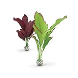 photo: You can buy biOrb Silk Plant Set Medium Green & Purple online, best price $16.79 new 2024-2023 bestseller, review
