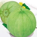 photo: You can buy 20 Seeds of Japanese Sakata Melon - Sweet Fragrant Melon - Green Muskmelon Seeds online, best price $13.79 new 2024-2023 bestseller, review