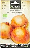 foto: jetzt Bio Samen - Parma gelbe Zwiebel (210 Samen - Bio) Online, bester Preis 8,98 € (0,04 € / stück) neu 2024-2023 Bestseller, Rezension