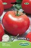photo: acheter Germisem graines Tomate PYROS F1 en ligne, meilleur prix 5,83 € nouveau 2024-2023 best-seller, examen