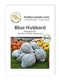 foto: jetzt Blue Hubbard BIO Kürbissamen von Bobby-Seeds Portion Online, bester Preis 2,75 € neu 2024-2023 Bestseller, Rezension