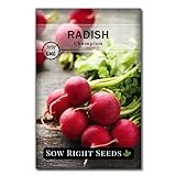 photo: You can buy Sow Right Seeds - Champion Radish Seed for Planting - Non-GMO Heirloom Packet with Instructions to Plant a Home Vegetable Garden - Great Gardening Gift (1)… online, best price $4.99 new 2024-2023 bestseller, review